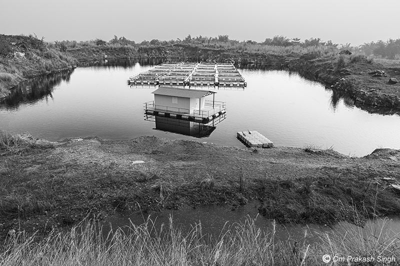 Bird's-eye view of the cage fish farm in the abandoned mining pit at Nandna village, Dumka district, Jharkhand